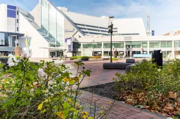 stadhuis met herfstblad gem lelystad