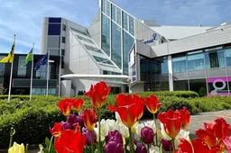 stadhuis met tulpen