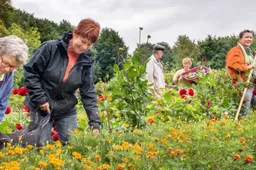 ondersteuningstraject 1 groene bondgenoten