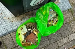 opruimactie partij voor de dieren lelystad partij voor de dieren lelystad instagram