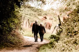 wandelen senioren susanne nicolin via pixabay