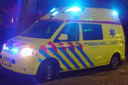 19106 820427481339812 8924889290514442416 n