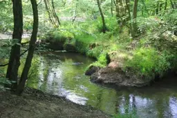 ontdek het leudal leubeek