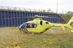 traumaheli