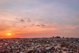 trash-4897847_1280