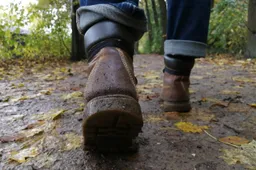hike-3301812_1280