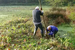 activiteiten-natuurwerkdag-1