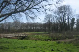 Tungelroysebeek HH Diepte