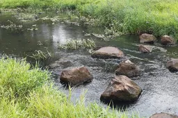 Stiltewandeling 2-2-2025 (1)