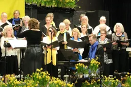 slide4_zankoor_animato_1500x700