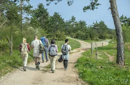 back-view-young-friends-with-backpacks-walking-forest-enjoying-good-summer-day