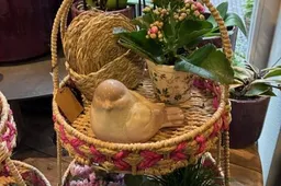 image1 (4)