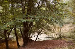 driestromenwandeling