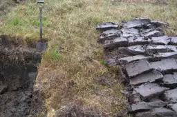 Peat_Lewis
