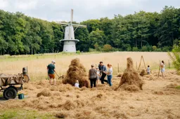 oogstweekend nederlands openluchtmuseum