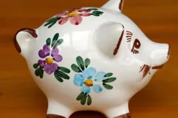 bezuinigenpixabaypiggy bank 334534 1280