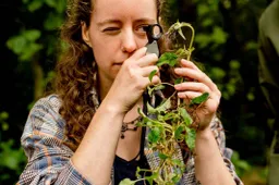 hvhl biodiversiteit