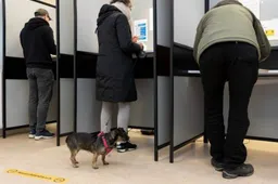 Help mee bij de verkiezingen Gemeente Lingewaard