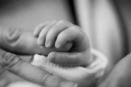 Geboortebos Uitbreiding . Gemeente Lingewaard