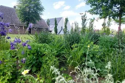 Programma LNB vastgesteld Gemeente Lingewaard