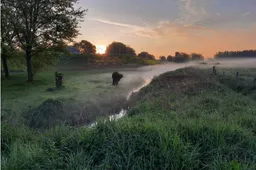 Screenshot 2025-11-07 at 13-01-17 Kiek! De eerste winnaar is bekend! Gemeente Lingewaard