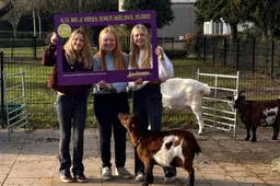 Foto 1 - Fay, Isis en Janne bij de geitjes