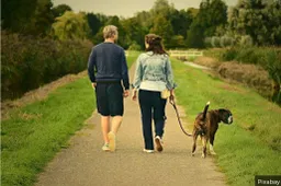 Hondenbelasting.Pixabay