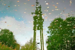 Kiek! Winnaar van de fotowedstrijd van november bekend.Wim Scheenen. Gemeente Lingewaard