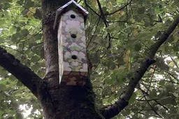 Bomenhub wordt booming -