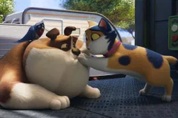 Miss-Moxy_st_2_jpg_sd-low