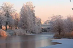 Winnaar fotowedstrijd januari bekend Gemeente Lingewaard