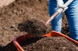 Gratis compost Gemeente Lingewaard