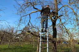 Op de nieuwe uitschuifladder. José Bruens