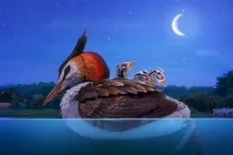 Hallo-Wereld-_st_2_jpg_sd-high