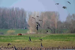 Uitzicht vanaf de kijkhut bij het Vossengat.Herman Hendriks.IVN.-5935