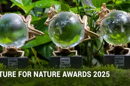 FFN Awards Event 2025 - Future For Nature