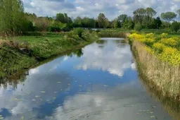 weerspiegeling winnaar fotowedstrijd april.Corine Bresser-Gielen. Gemeente Lingewaard