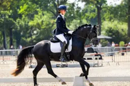 Welsh pony’s sterk voor de dag tijdens DPC-selectiewedstrijd in Lunteren