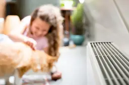 Denk mee over wonen zonder aardgas Gemeente Lingewaard