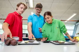 HVHL Ad Food