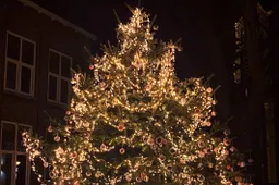 316134915 2943353275960182 7772461454143234932 n