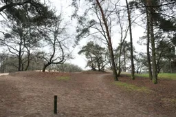 duinen 715x408
