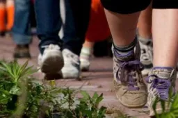 wandelschoenen