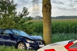 onder-invloed-van-alcohol-botste-de-bestuurder-met-de-auto-tegen-een-boom