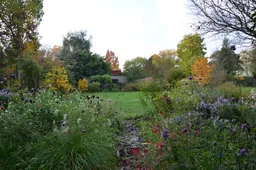 Anita Nijssen 2DSC_6490