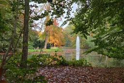 w.s. 2025-2026 foto warande.