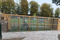 549700876_4132306620345954_6187972287274492688_n