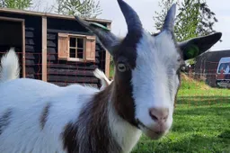 515933894_3170344386447909_3745725258046639909_n