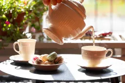 615785908_122194430426377479_337519921635172053_n