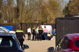 FPMB_SMALL_8C668F09-82D5-450F-9141-122DFC254E79